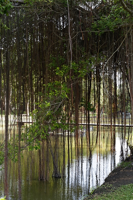 Suan Luang-JUN14-079